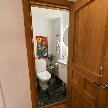 Cozy Luxury Flat In Kallio Lägenhet Helsingfors