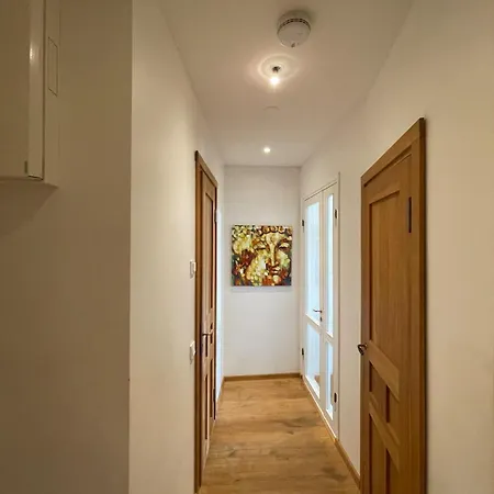 Cozy Luxury Flat In Kallio Lägenhet Helsingfors